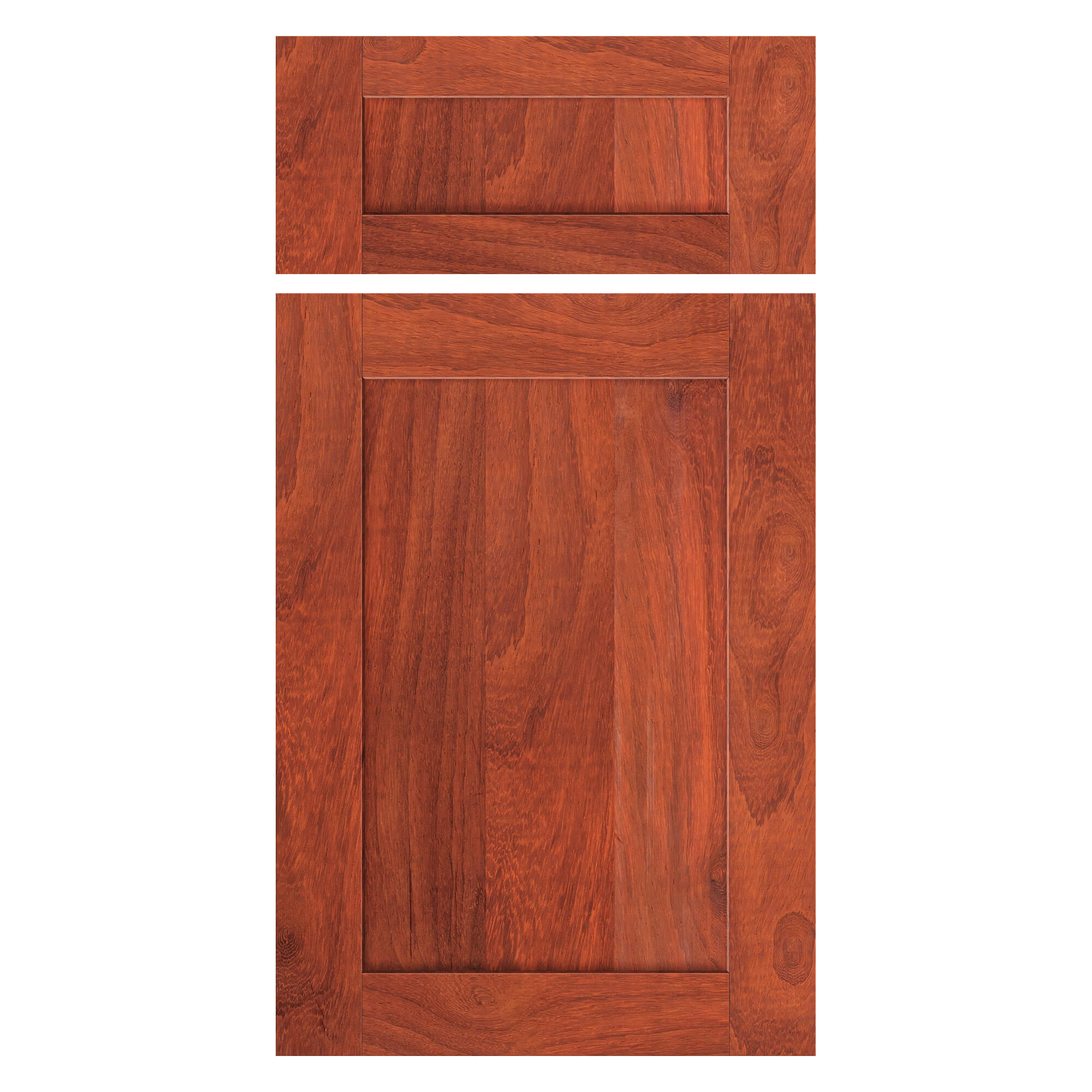 Padauk Shaker cabinet door with matching drawer front, front view showing recessed panel and vivid reddish grain.